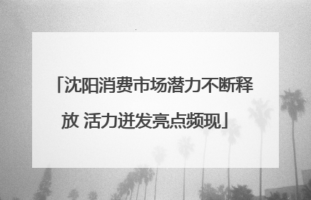 沈阳消费市场潜力不断释放 活力迸发亮点频现