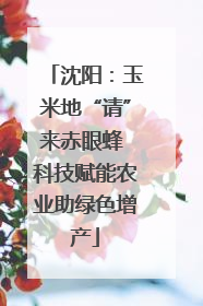 沈阳：玉米地“请”来赤眼蜂 科技赋能农业助绿色增产