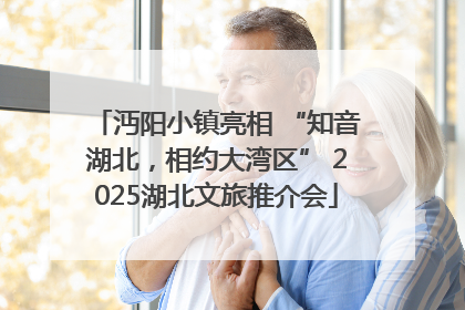 沔阳小镇亮相 “知音湖北，相约大湾区” 2025湖北文旅推介会
