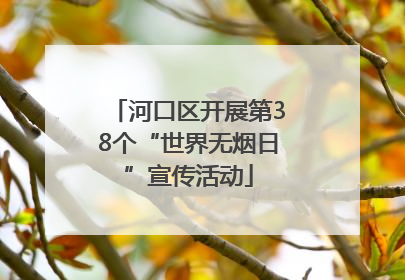 河口区开展第38个“世界无烟日”宣传活动