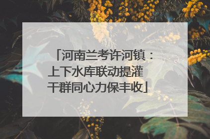河南兰考许河镇：上下水库联动提灌 干群同心力保丰收