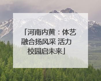 河南内黄：体艺融合扬风采 活力校园启未来