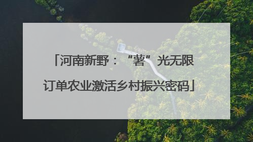河南新野：“薯”光无限 订单农业激活乡村振兴密码