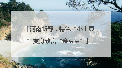 河南新野：特色“小土豆”变身致富“金豆豆”