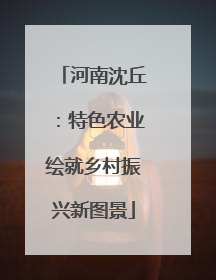 河南沈丘：特色农业绘就乡村振兴新图景