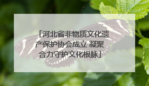 河北省非物质文化遗产保护协会成立 凝聚合力守护文化根脉