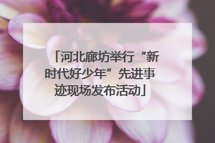 河北廊坊举行“新时代好少年”先进事迹现场发布活动