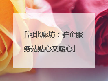 河北廊坊：驻企服务站贴心又暖心