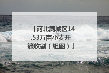 河北满城区14.53万亩小麦开镰收割（组图）