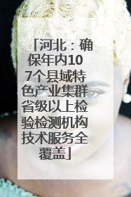 河北：确保年内107个县域特色产业集群省级以上检验检测机构技术服务全覆盖