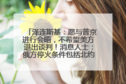 泽连斯基：愿与普京进行会晤，不希望美方退出谈判！消息人士：俄方停火条件包括北约“书面”保证不东扩
