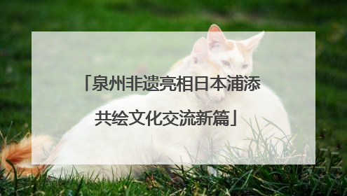 泉州非遗亮相日本浦添 共绘文化交流新篇