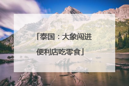 泰国：大象闯进便利店吃零食