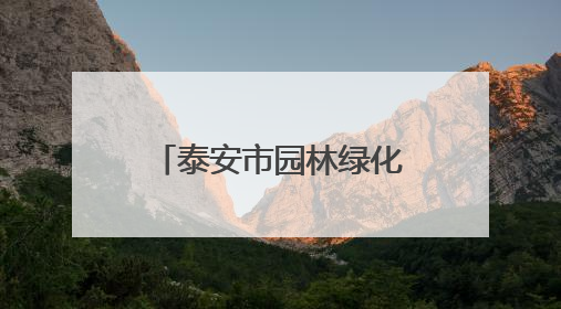 泰安市园林绿化管理服务中心：匠心育得萱草盛，一抹橙黄醉人间