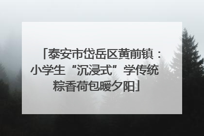 泰安市岱岳区黄前镇：小学生“沉浸式”学传统 粽香荷包暖夕阳