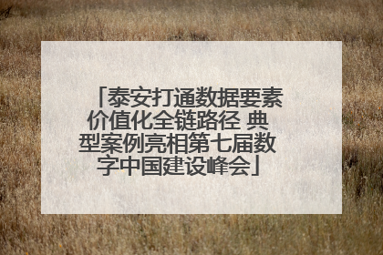 泰安打通数据要素价值化全链路径 典型案例亮相第七届数字中国建设峰会