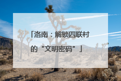 洛南：解锁四联村的“文明密码”