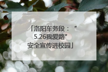 洛阳车务段：“5.26我爱路”安全宣传进校园