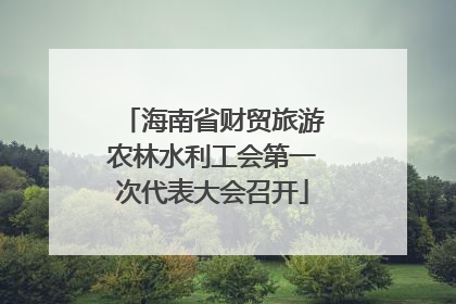 海南省财贸旅游农林水利工会第一次代表大会召开