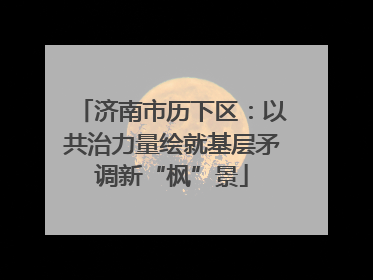 济南市历下区：以共治力量绘就基层矛调新“枫”景