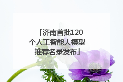 济南首批120个人工智能大模型推荐名录发布