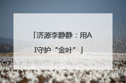济源李静静：用AI守护“金叶”