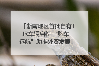 浙南地区首批自有TIR车辆启程 “购车远航”助推外贸发展