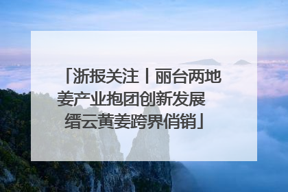 浙报关注丨丽台两地姜产业抱团创新发展 缙云黄姜跨界俏销