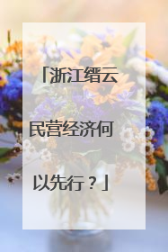 浙江缙云民营经济何以先行？