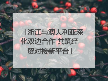 浙江与澳大利亚深化双边合作 共筑经贸对接新平台