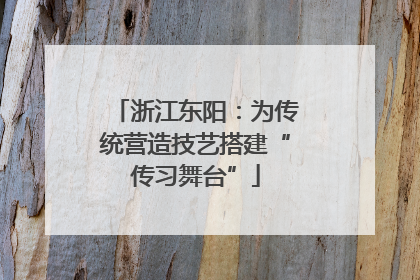 浙江东阳：为传统营造技艺搭建“传习舞台”