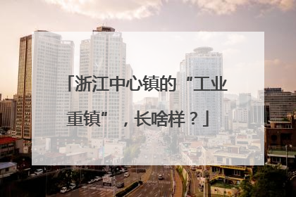 浙江中心镇的“工业重镇”，长啥样？