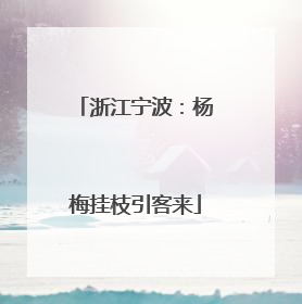 浙江宁波：杨梅挂枝引客来