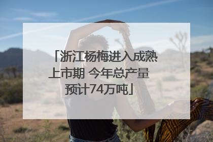 浙江杨梅进入成熟上市期 今年总产量预计74万吨