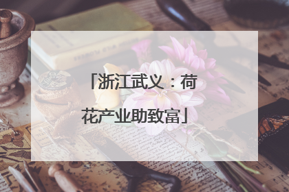 浙江武义：荷花产业助致富