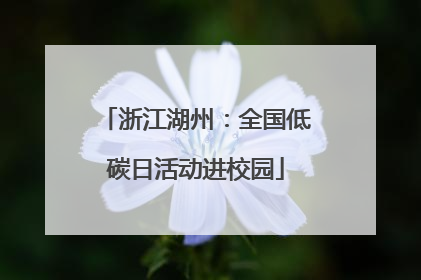 浙江湖州：全国低碳日活动进校园