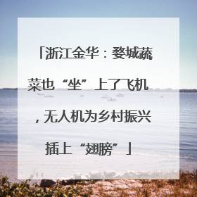 浙江金华：婺城蔬菜也“坐”上了飞机，无人机为乡村振兴插上“翅膀”