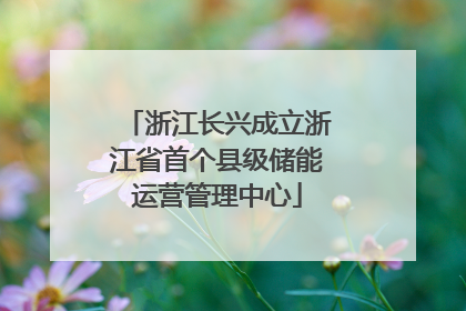 浙江长兴成立浙江省首个县级储能运营管理中心
