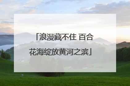 浪漫藏不住 百合花海绽放黄河之滨