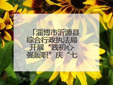 淄博市沂源县综合行政执法局开展“践初心·强履职”庆“七一”系列活动