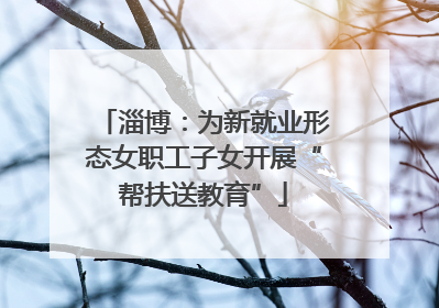 淄博：为新就业形态女职工子女开展“帮扶送教育”