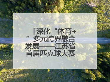 深化“体育+”多元跨界融合发展——江苏省首届匹克球大赛在无锡开赛