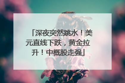 深夜突然跳水！美元直线下跌，黄金拉升！中概股走强