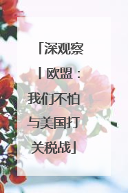 深观察丨欧盟：我们不怕与美国打关税战