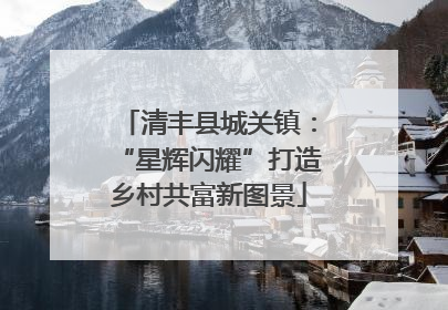 清丰县城关镇：“星辉闪耀”打造乡村共富新图景