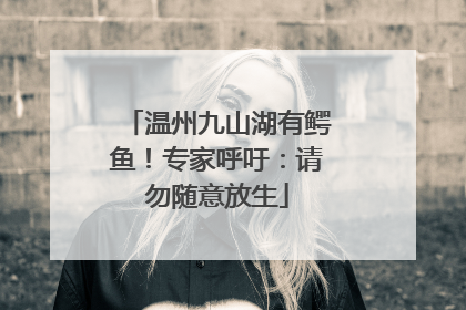 温州九山湖有鳄鱼！专家呼吁：请勿随意放生