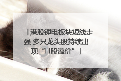 港股锂电板块短线走强 多只龙头股持续出现“H股溢价”