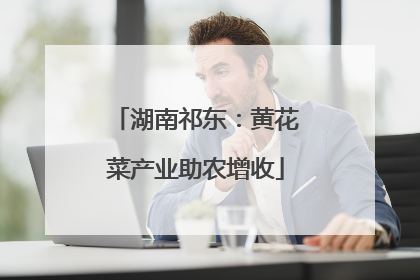 湖南祁东：黄花菜产业助农增收