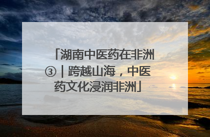 湖南中医药在非洲③｜跨越山海，中医药文化浸润非洲