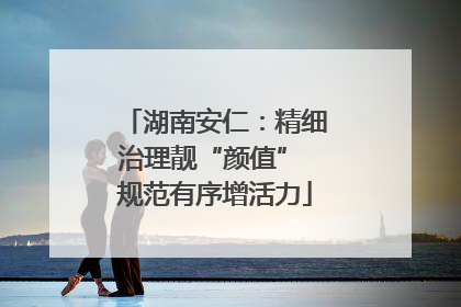 湖南安仁：精细治理靓“颜值” 规范有序增活力